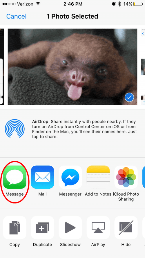 1651098245 24 Comment telecharger et enregistrer des GIF sur iPhone MIS A