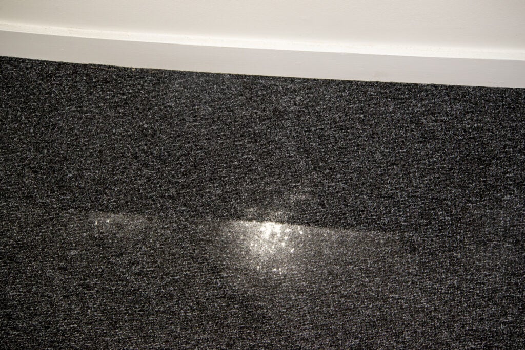 Bord net WD6 P Premium Karcher