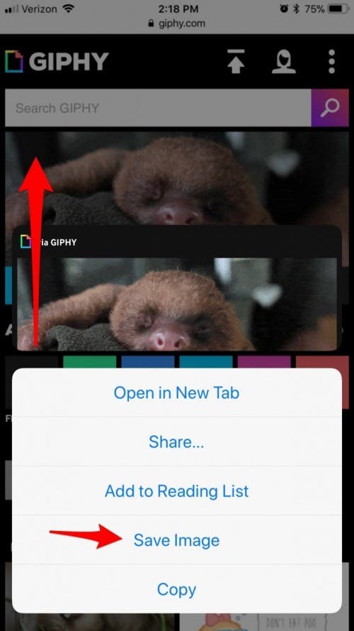 Comment telecharger et enregistrer des GIF sur iPhone MIS A