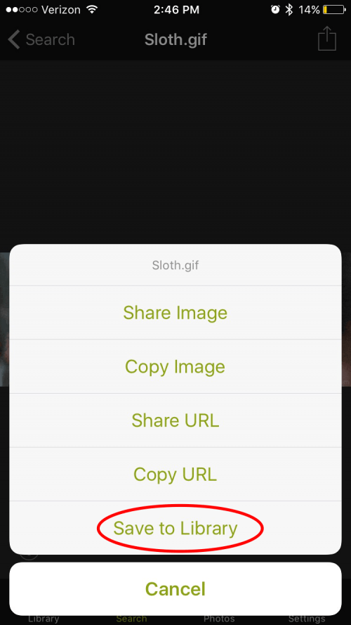 Comment telecharger et enregistrer des GIF sur iPhone MIS A