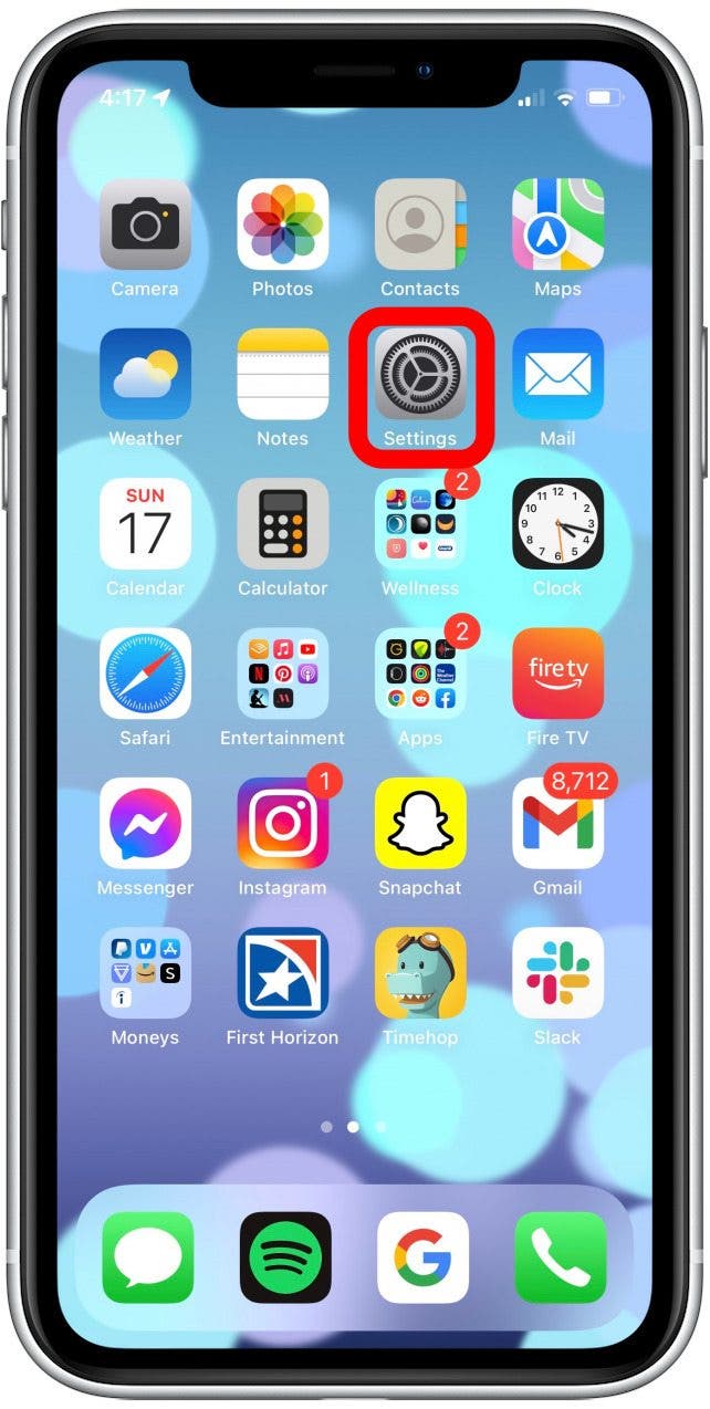 Comment activer les niveaux de gris pour iPhone