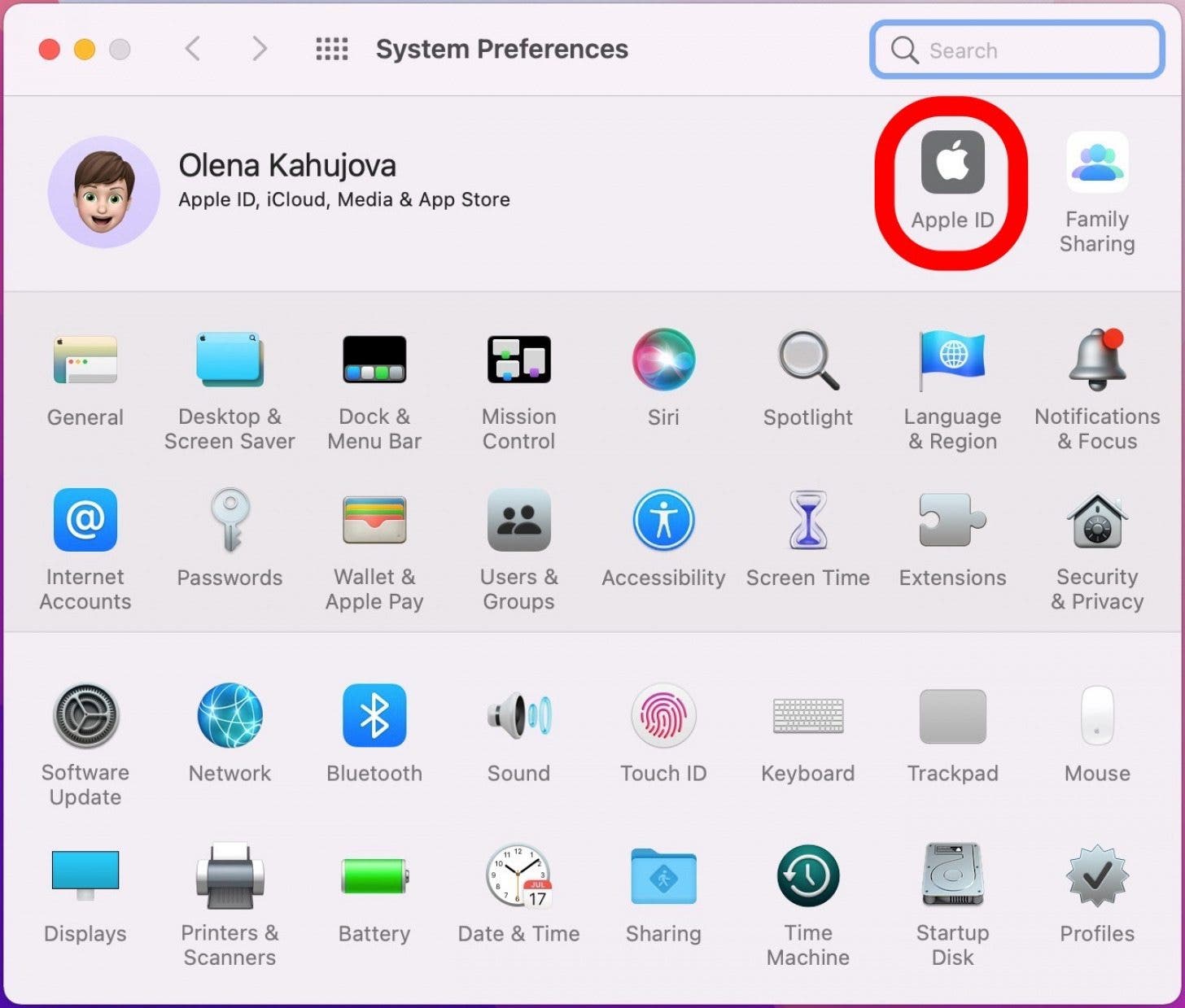 Cliquez sur Apple ID - sauvegarde macbook sur icloud