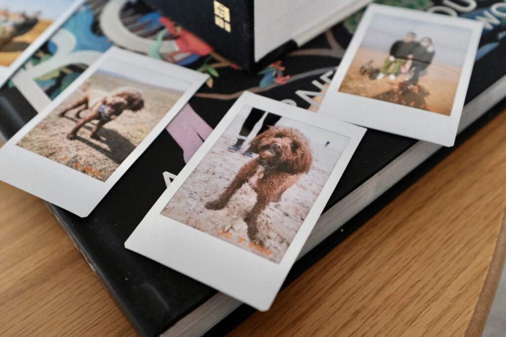 Échantillon de photos Fujifilm Instax MinI Evo