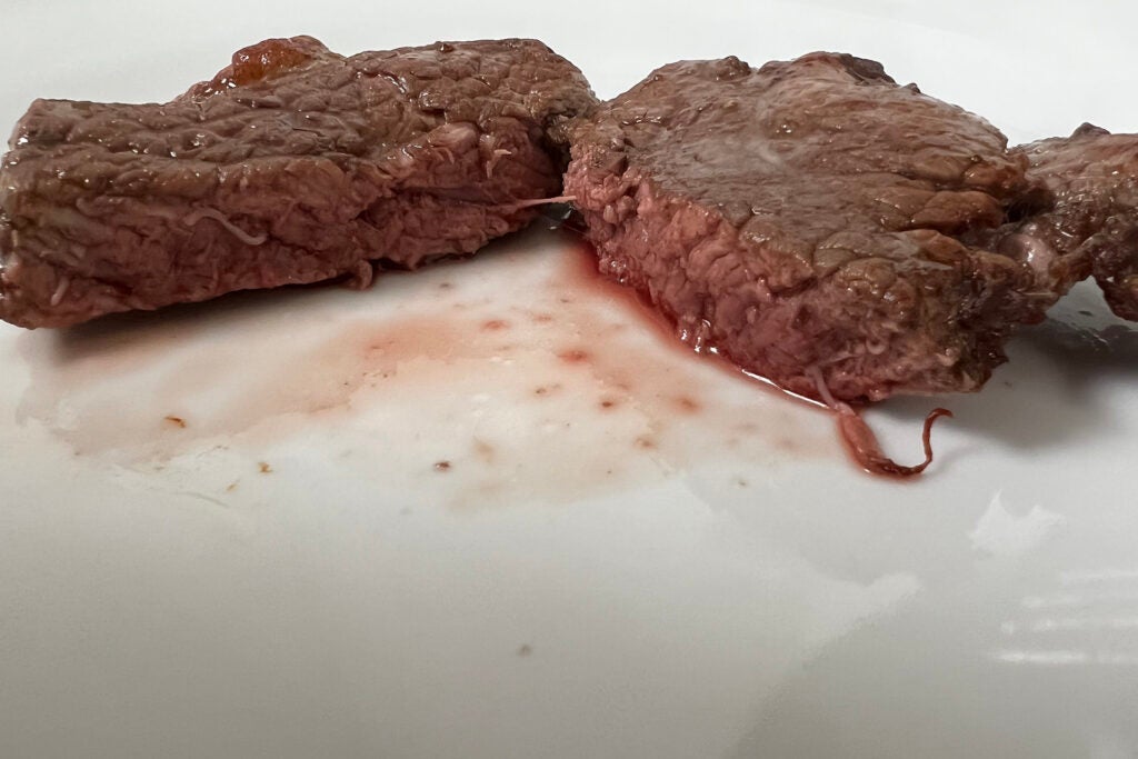 Entrecôte Ninja Foodi MAX OL750UK