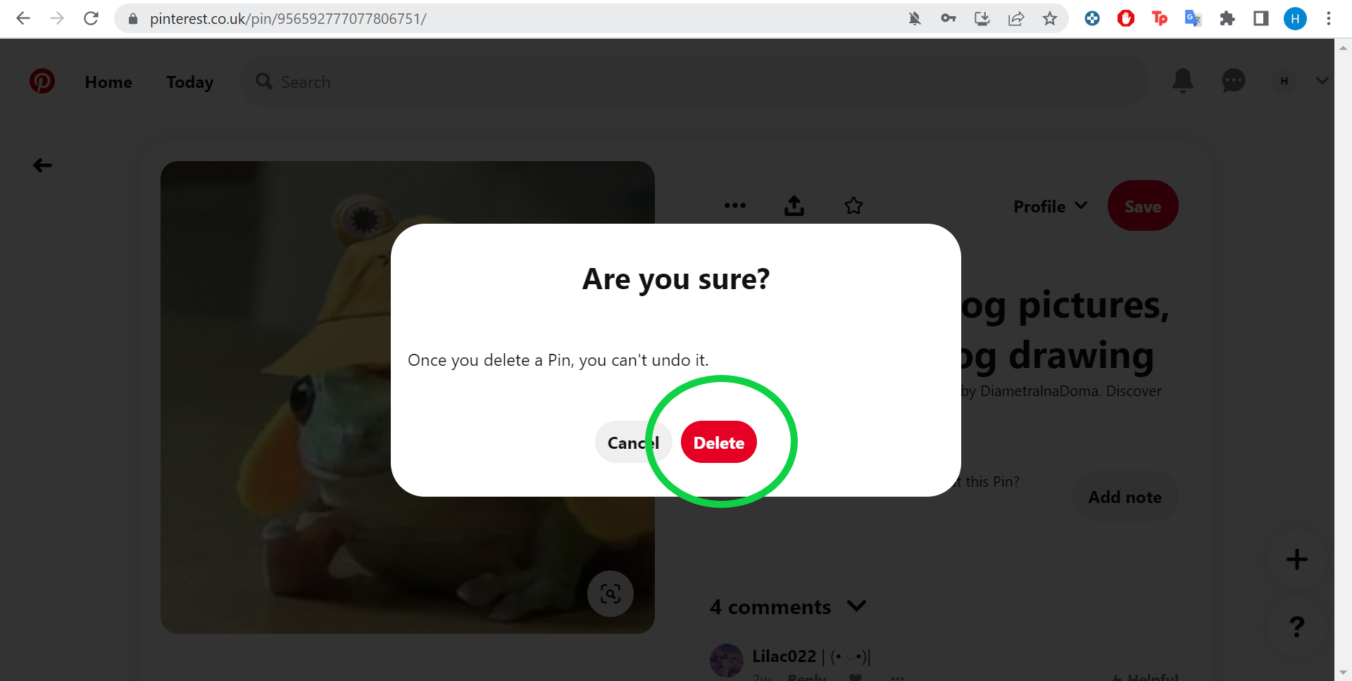 1653319463 351 Comment supprimer des epingles sur Pinterest