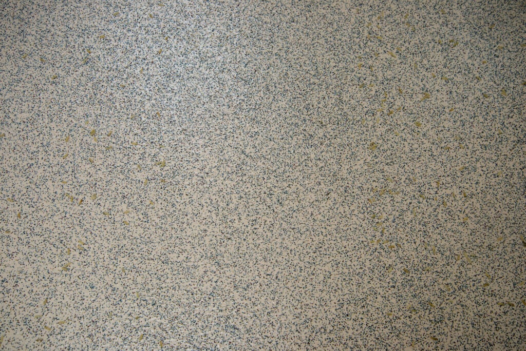 Nettoyez les sols durs sans fil Karcher VC6