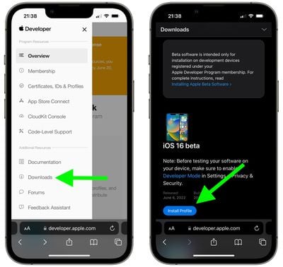 2installer ios 16 bêta