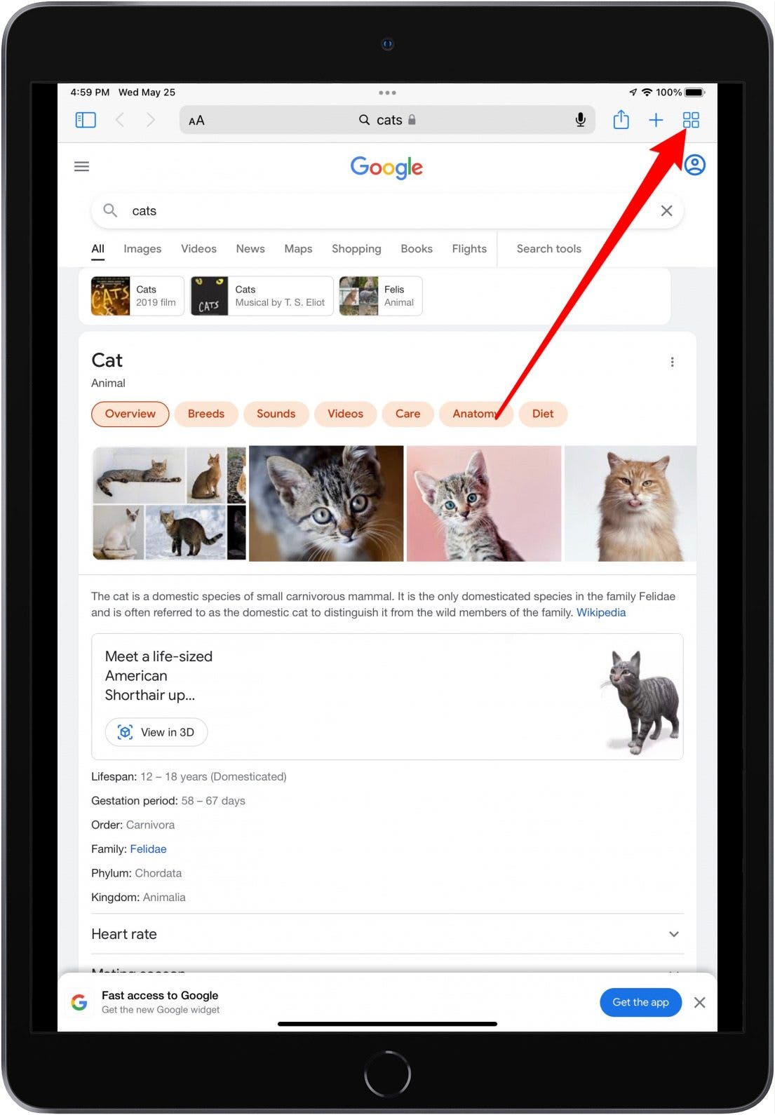 1654717688 87 Resolu Mes meilleurs onglets continuent de disparaitre dans Safari 2022
