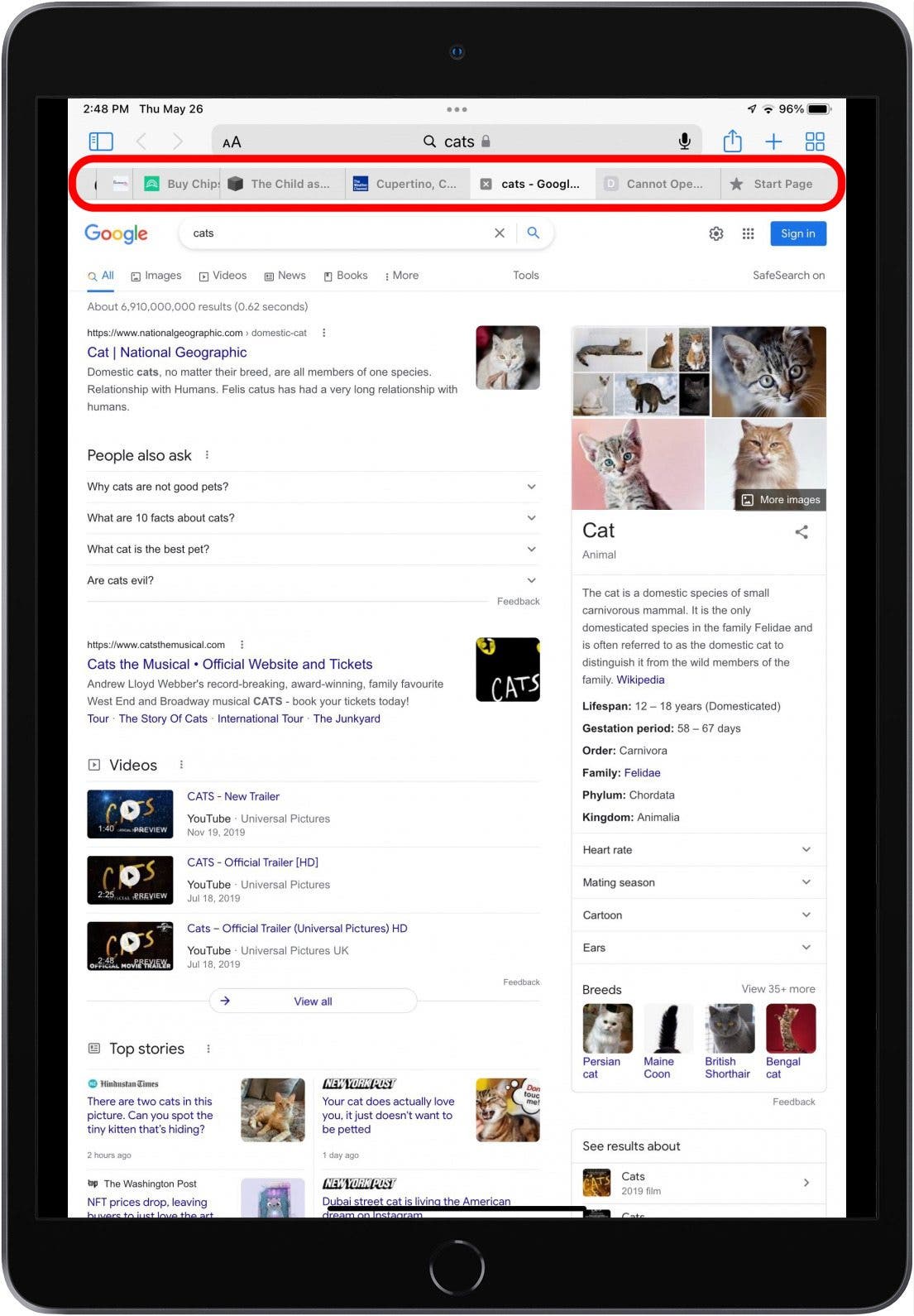 1654717688 9 Resolu Mes meilleurs onglets continuent de disparaitre dans Safari 2022