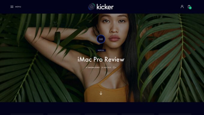 1655107695 643 11 meilleurs themes WordPress daffiliation Amazon 2022