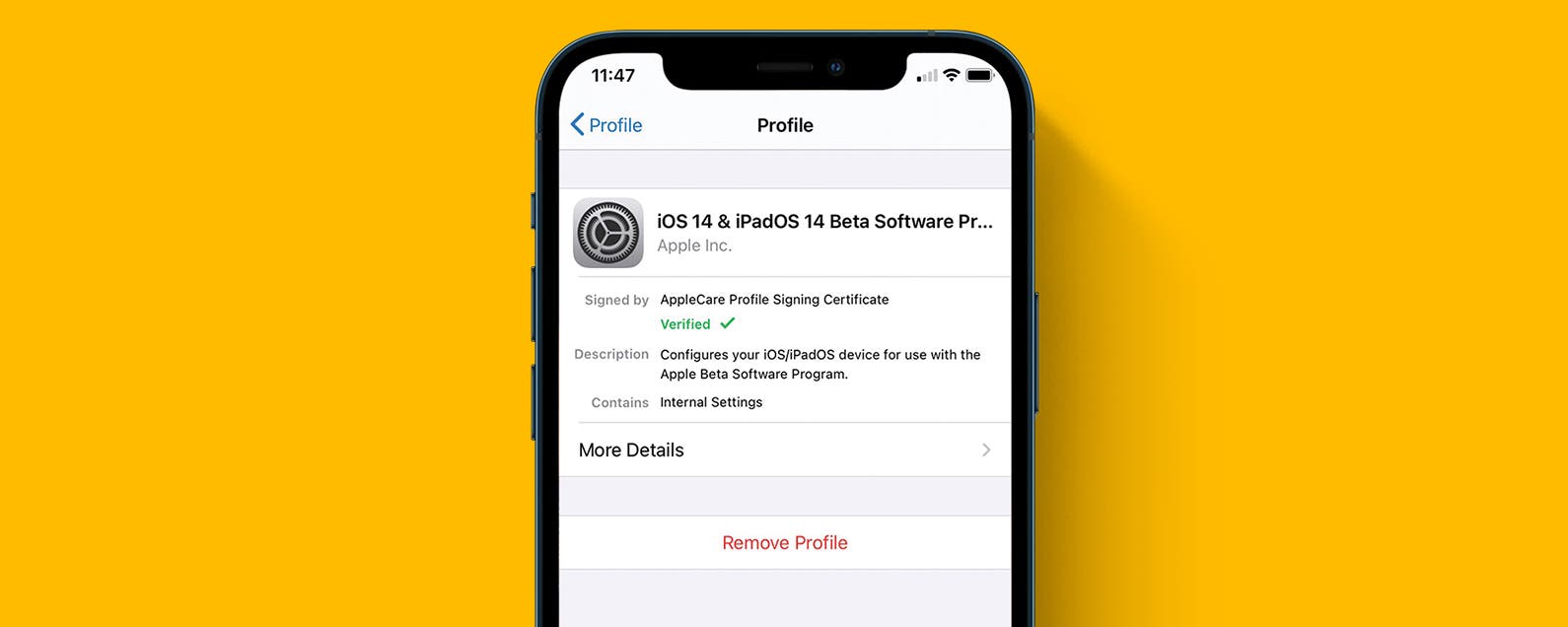 1655175612 Comment desinstaller et supprimer iOS 15 Beta de votre iPhone