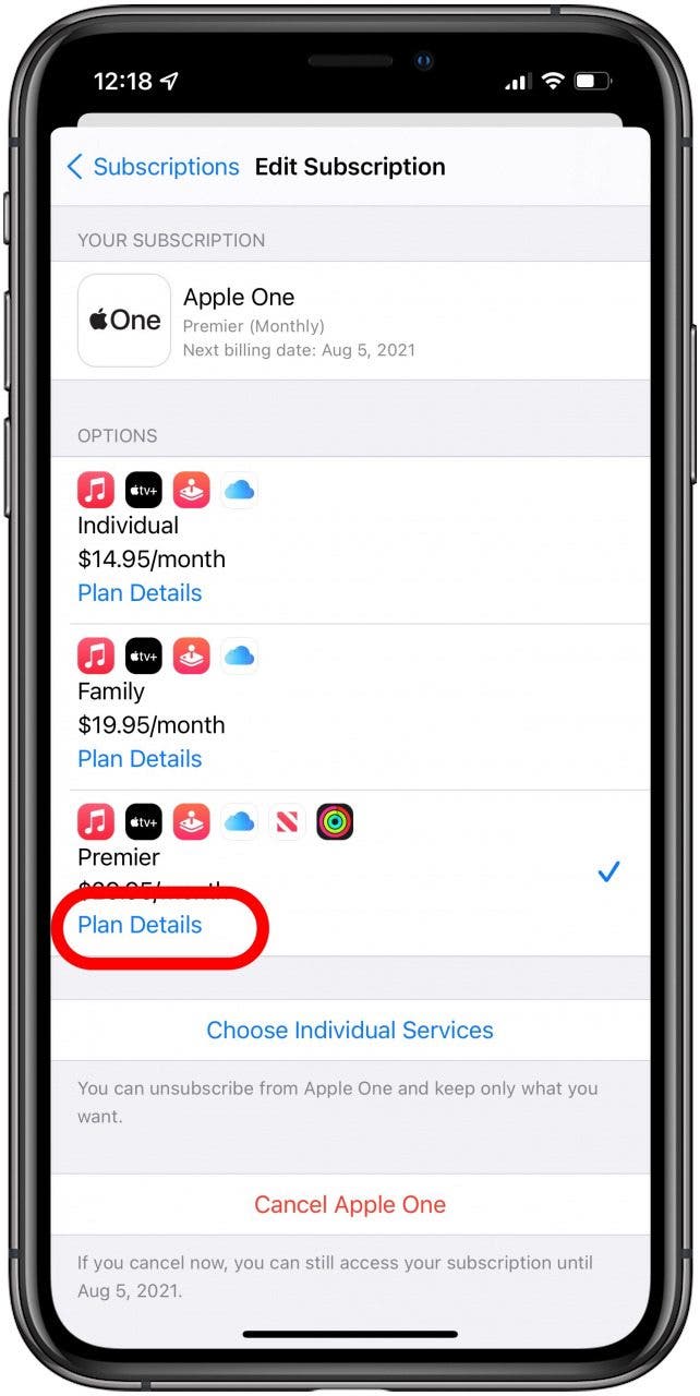 Pour voir quel forfait vous avez, appuyez sur iCloud ou Apple One pour voir les détails du forfait.