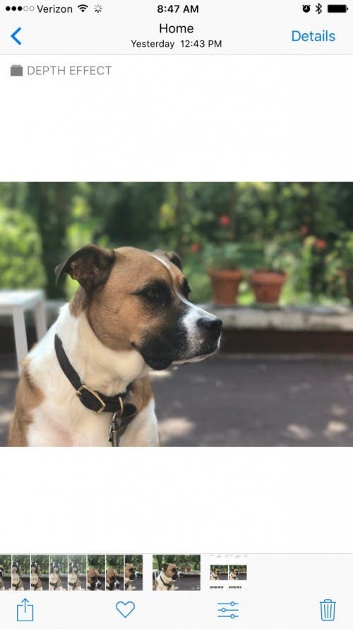 1657160652 460 Comment utiliser la profondeur de champ effet bokeh sur iPhone