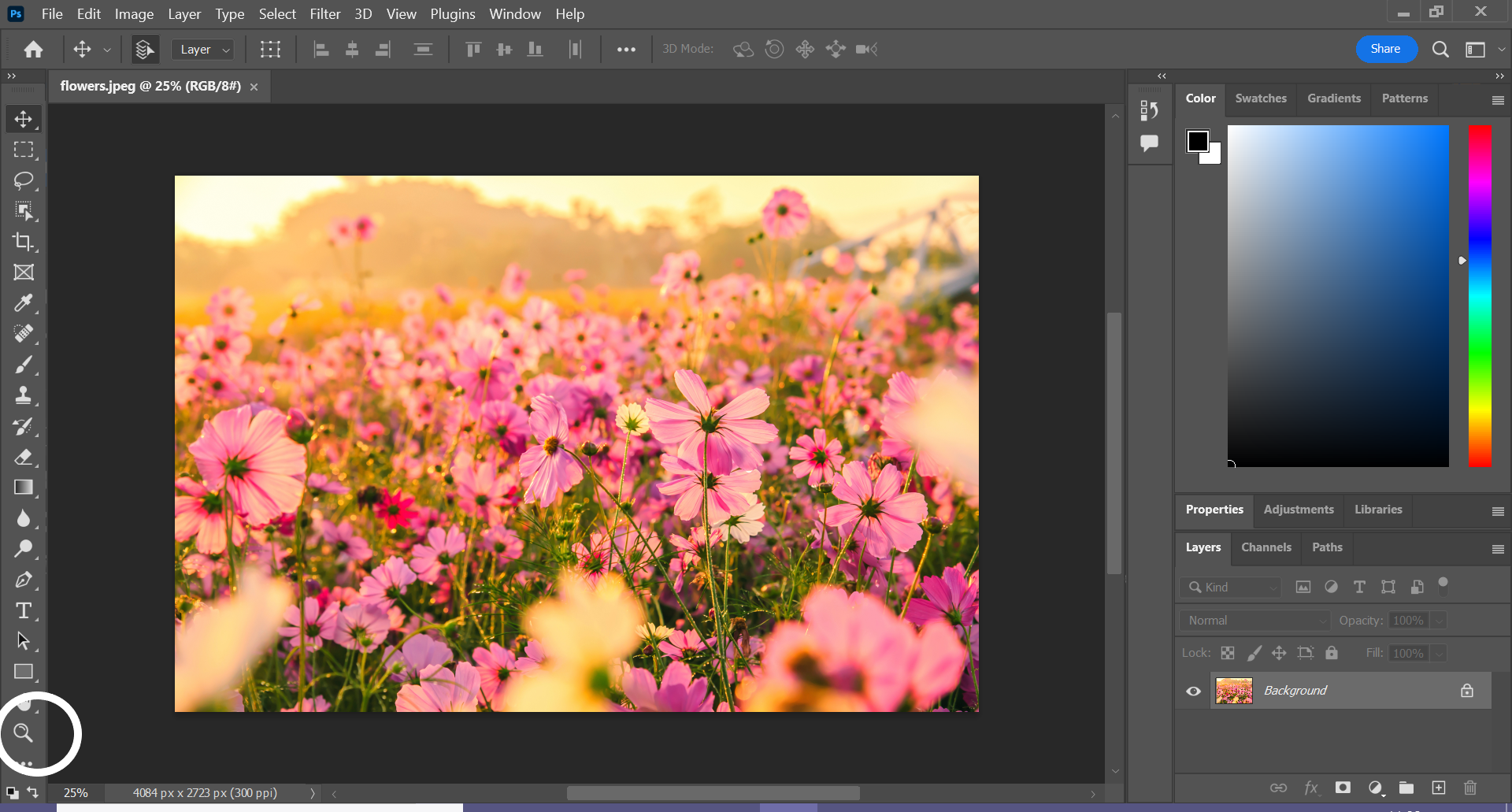 1657268172 161 Comment zoomer dans Photoshop