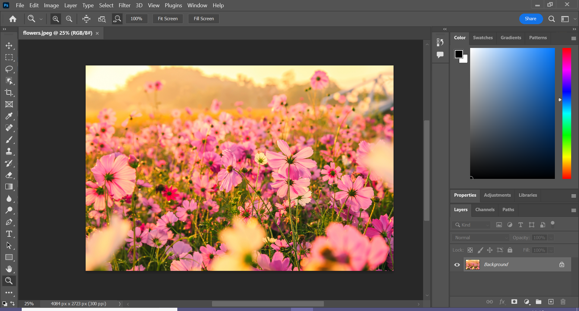 1657268173 534 Comment zoomer dans Photoshop