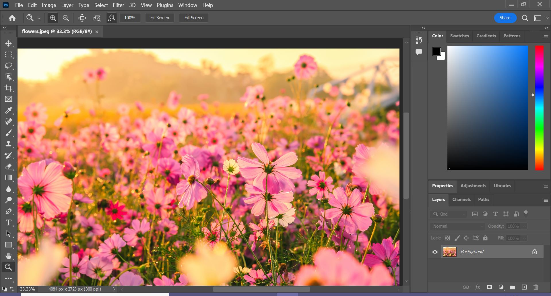 1657268173 717 Comment zoomer dans Photoshop