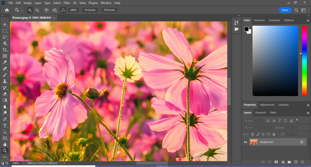 1657268174 Comment zoomer dans Photoshop