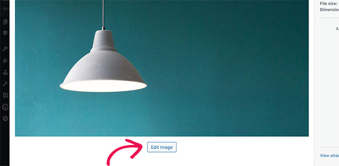 Modifier l'image dans WordPress Modifier l'image dans WordPress