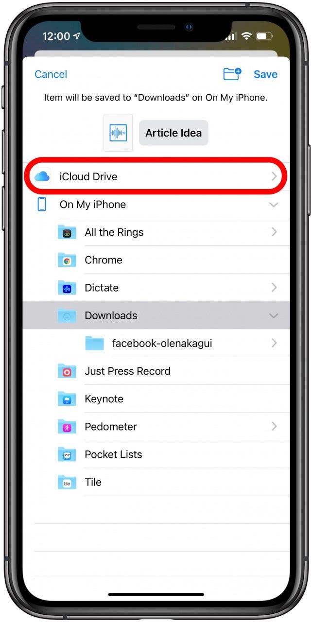 Appuyez sur iCloud Drive.