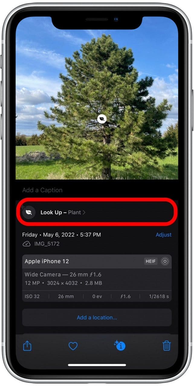 1658870167 220 Comment identifier les plantes avec lapplication iPhone Photos 2022