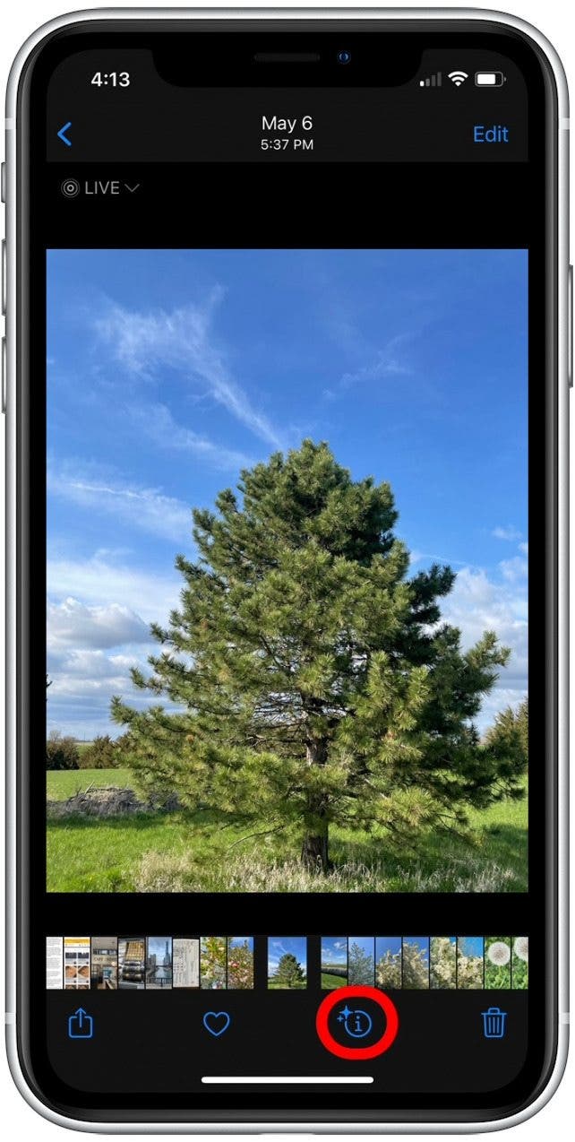 Comment identifier les plantes avec lapplication iPhone Photos 2022