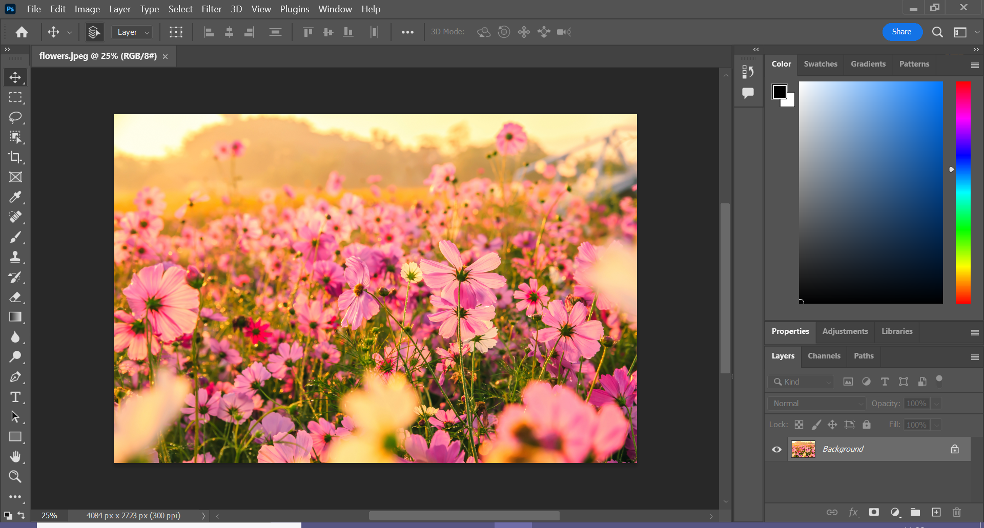 Comment zoomer dans Photoshop