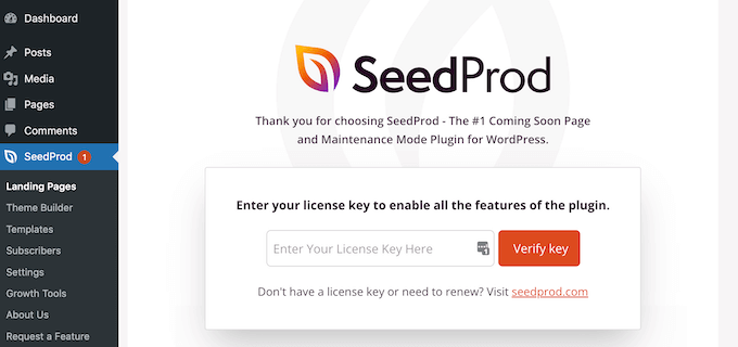 Clé de licence SeedProd Clé de licence SeedProd