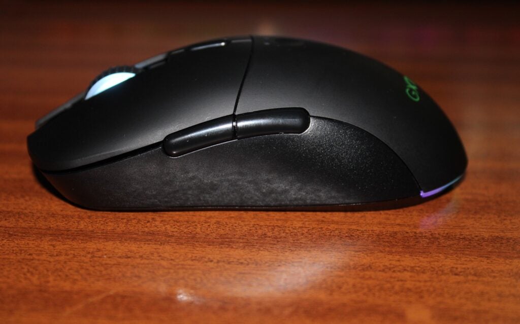 La souris vue de côté