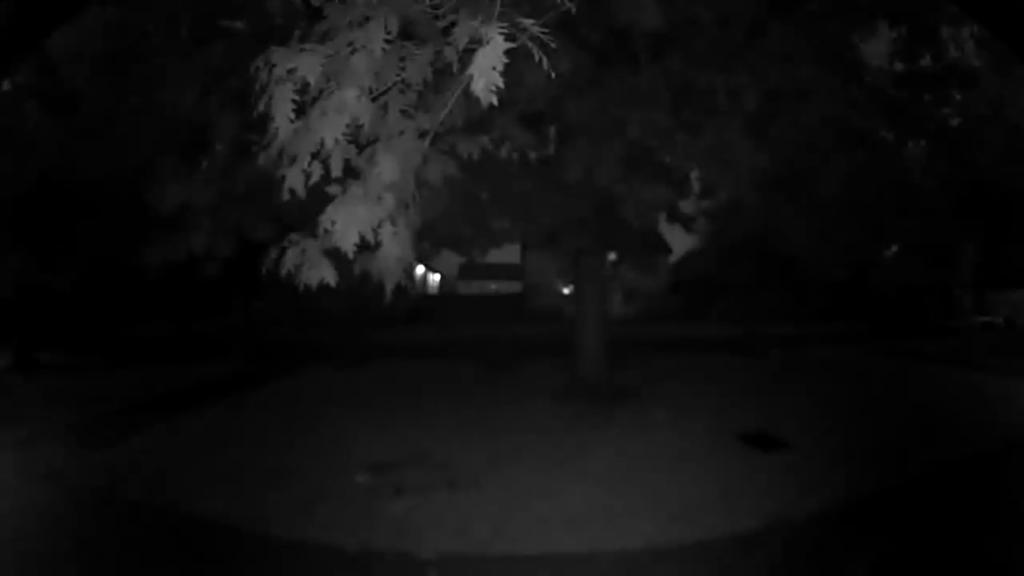 Échantillon de nuit de la sonnette vidéo Blink