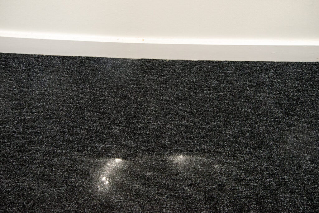 Miele Triflex HX2 Pro bord propre