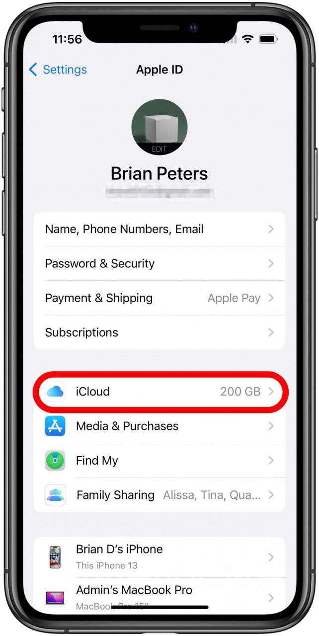 Écran Paramètres de l'identifiant Apple avec l'option iCloud marquée.