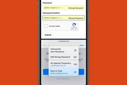 1661310486 Comment modifier un mot de passe suggere Safari iOS 16