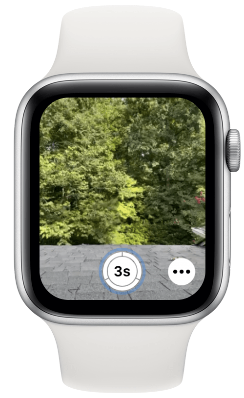 Ensuite, pincez deux fois avec la main qui porte l'Apple Watch pour prendre la photo.