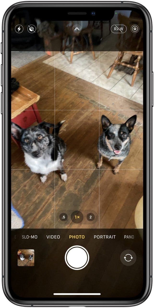 comment prendre des photos d'action sur iphone avec live photo