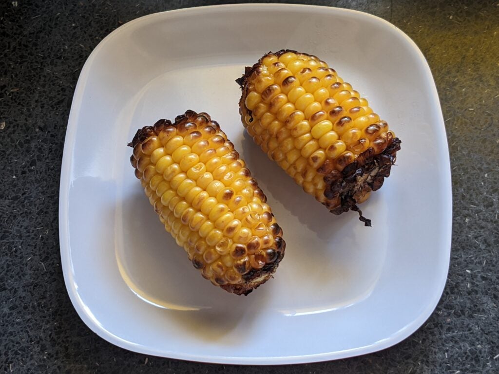 Épi Salter Aerogrill