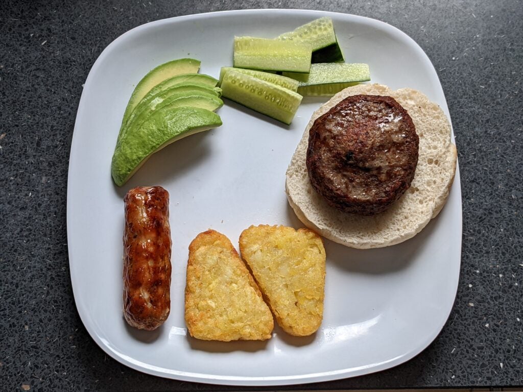 Burger Aérogrill Salter