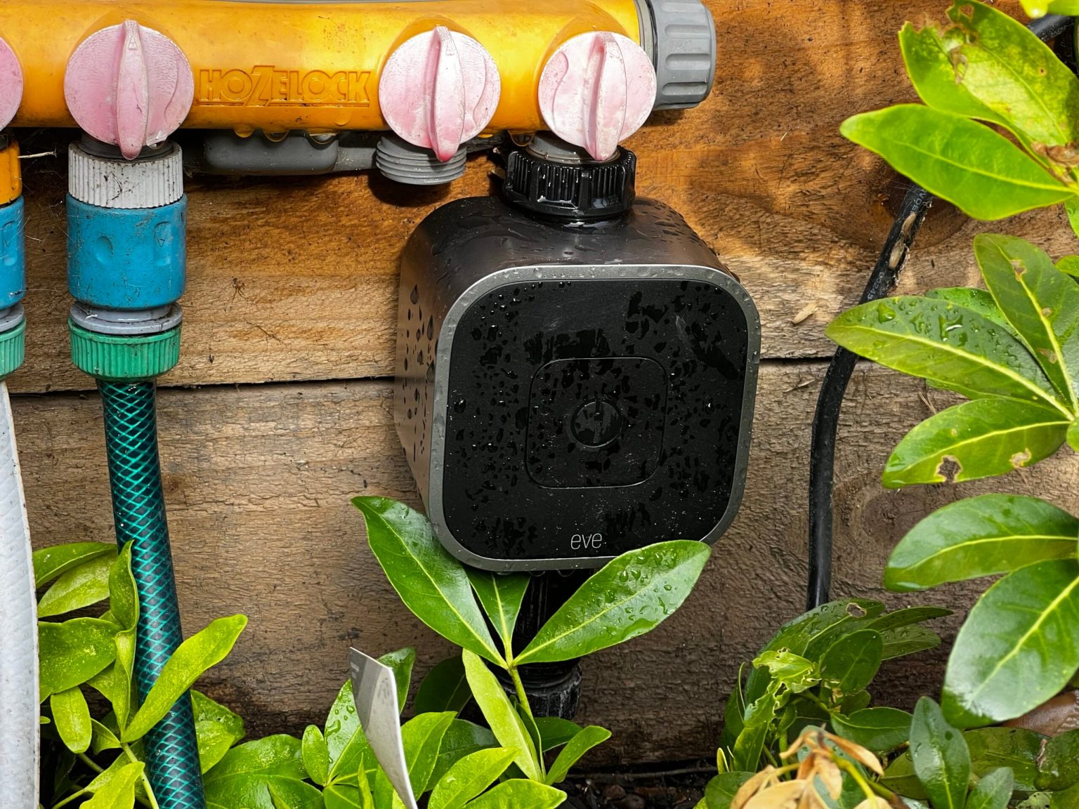 1663159227 Eve Aqua Review