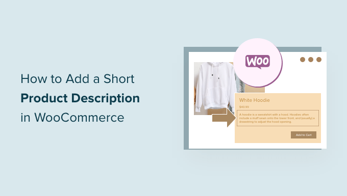 Comment ajouter une courte description de produit dans WooCommerce