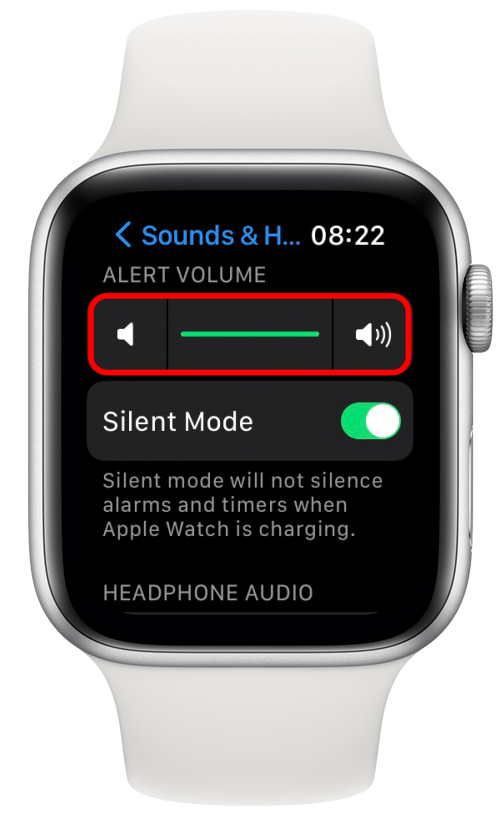 Ici, vous pouvez modifier le volume d'alerte. 