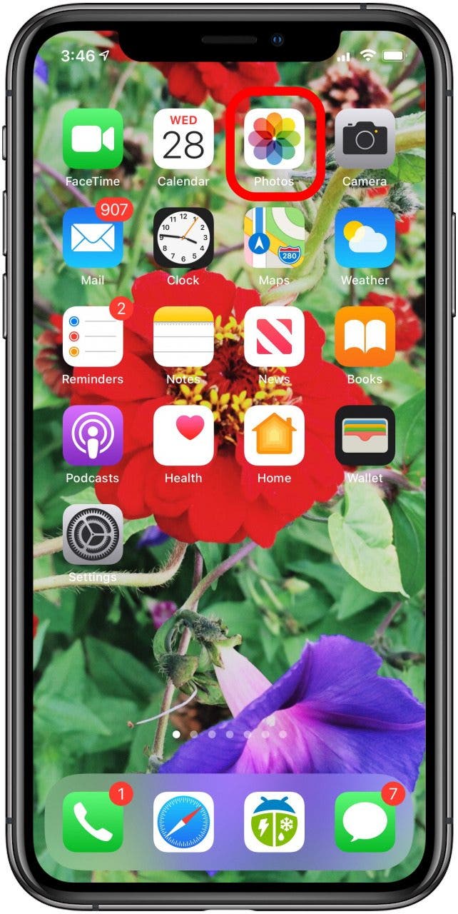 application de photos de pomme