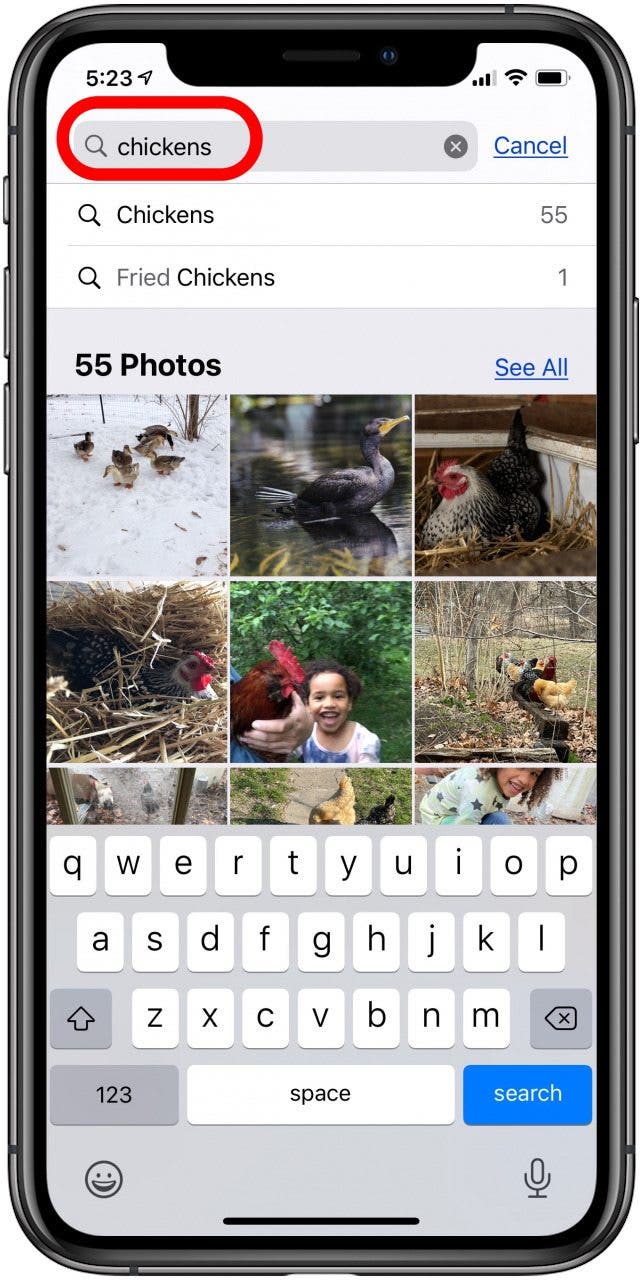entrez votre terme de recherche dans l'application Apple Photos
