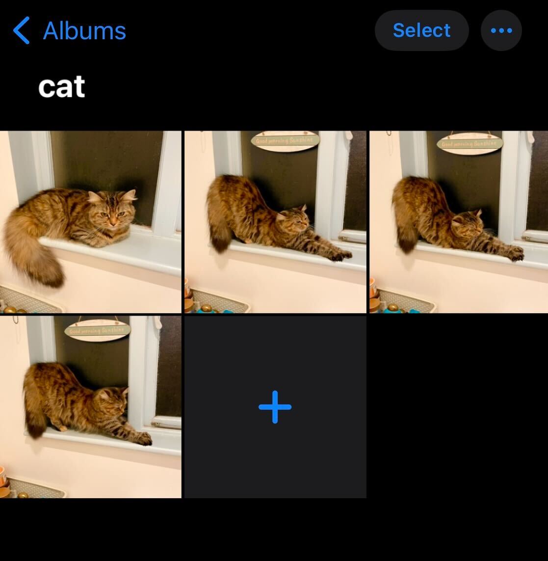 1666654811 102 Comment editer rapidement plusieurs photos par lots sur iOS
