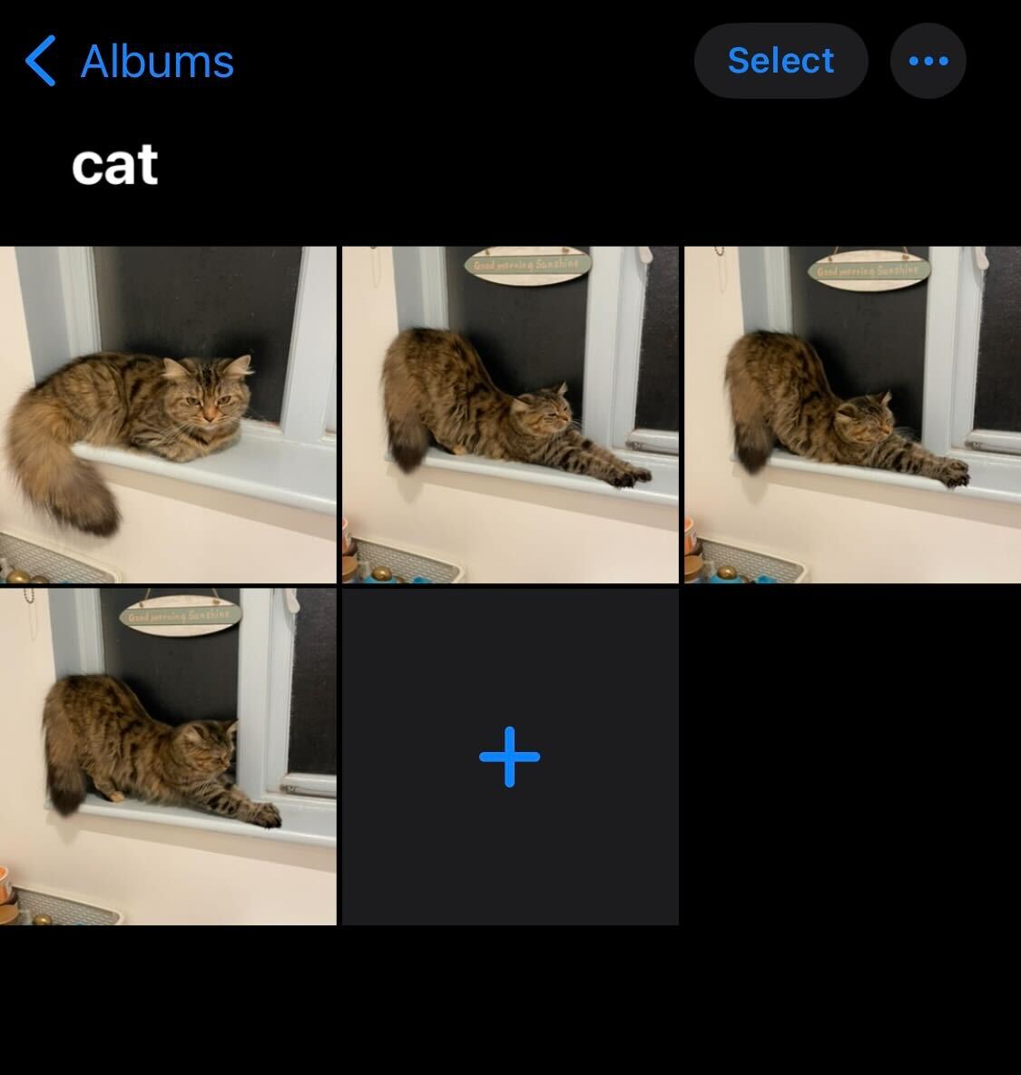 1666654811 137 Comment editer rapidement plusieurs photos par lots sur iOS