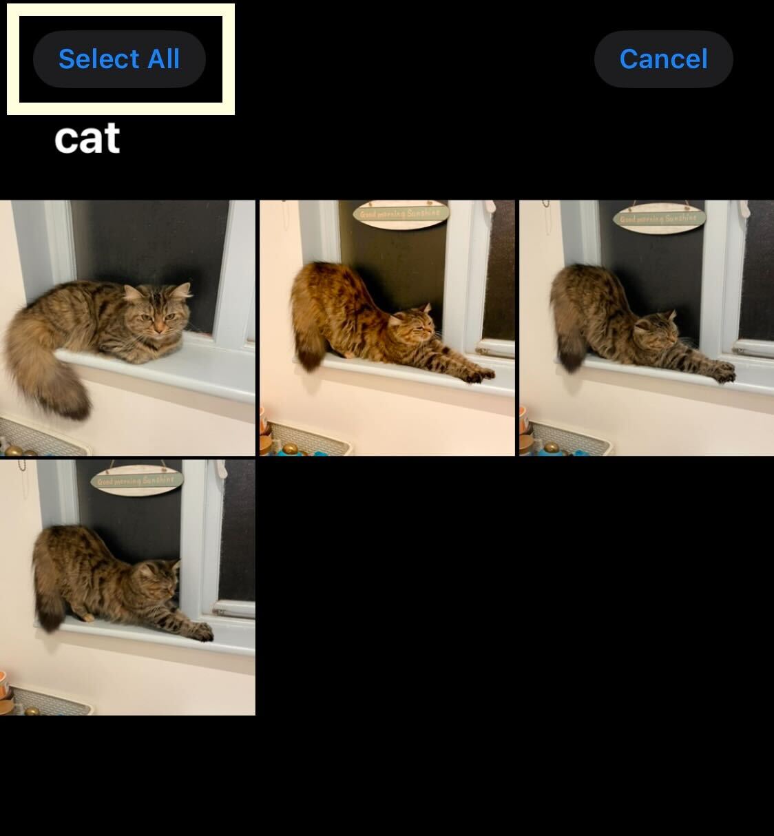 1666654811 398 Comment editer rapidement plusieurs photos par lots sur iOS