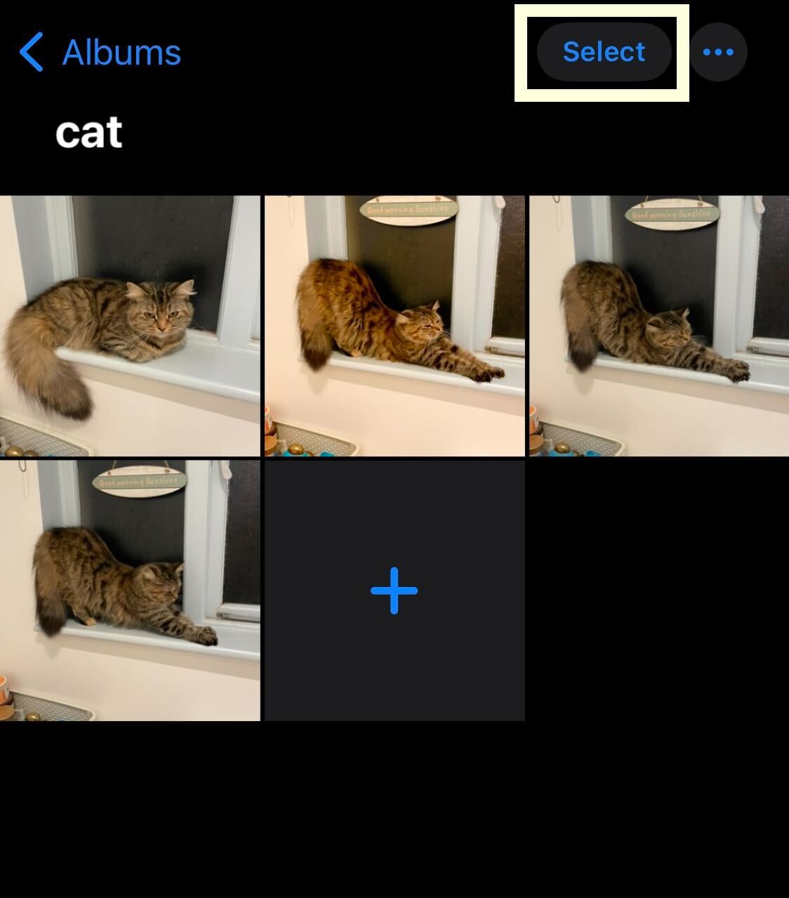 1666654811 671 Comment editer rapidement plusieurs photos par lots sur iOS