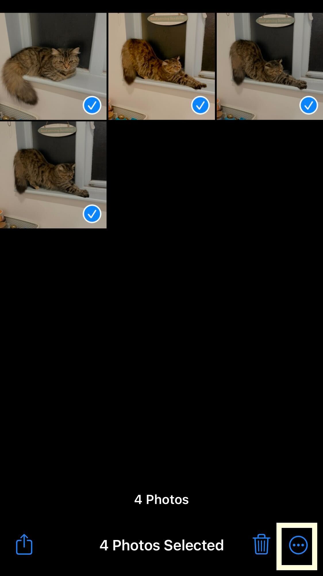 1666654811 977 Comment editer rapidement plusieurs photos par lots sur iOS