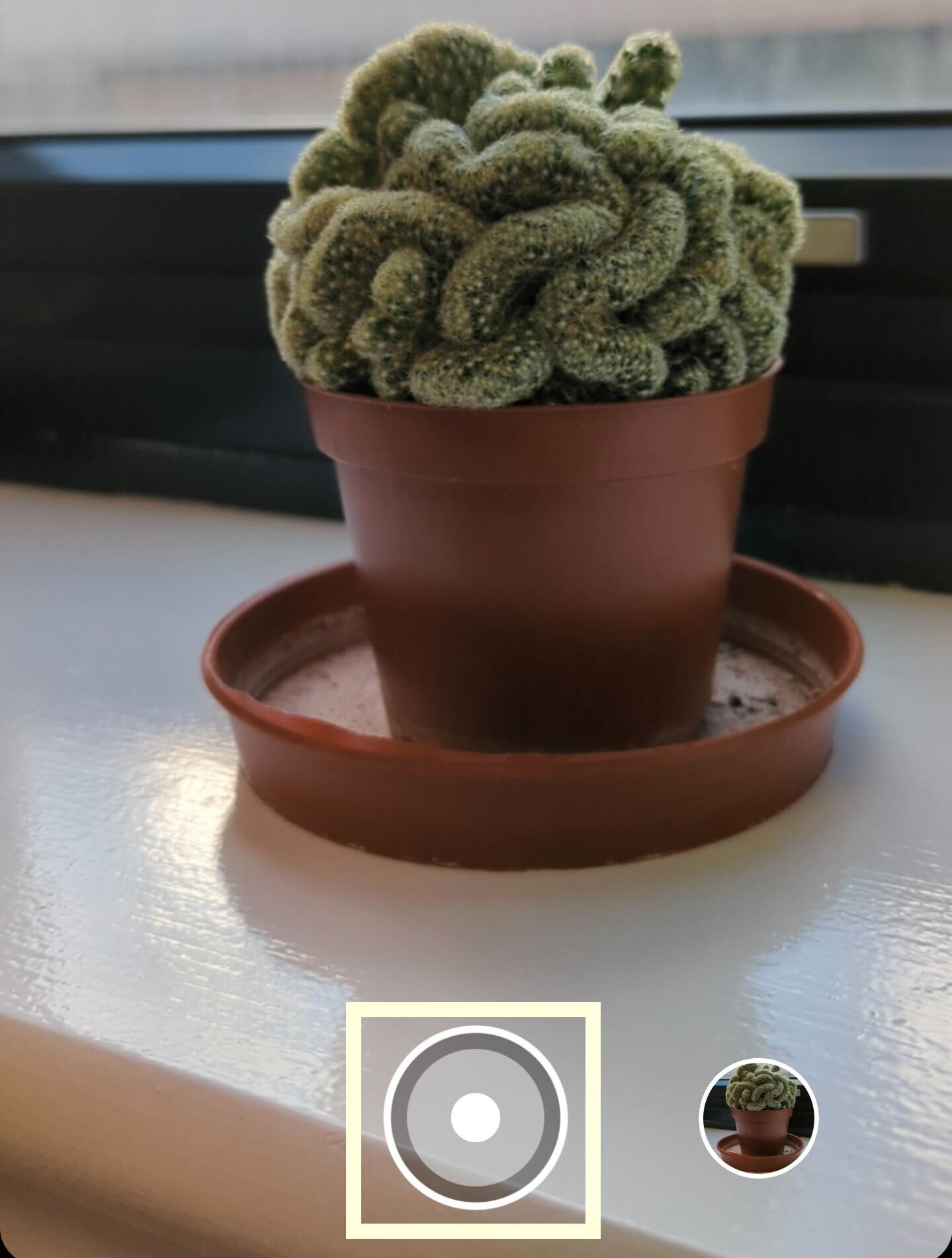 1666689378 483 Comment utiliser Cinematic Blur sur le Pixel 7 Pro
