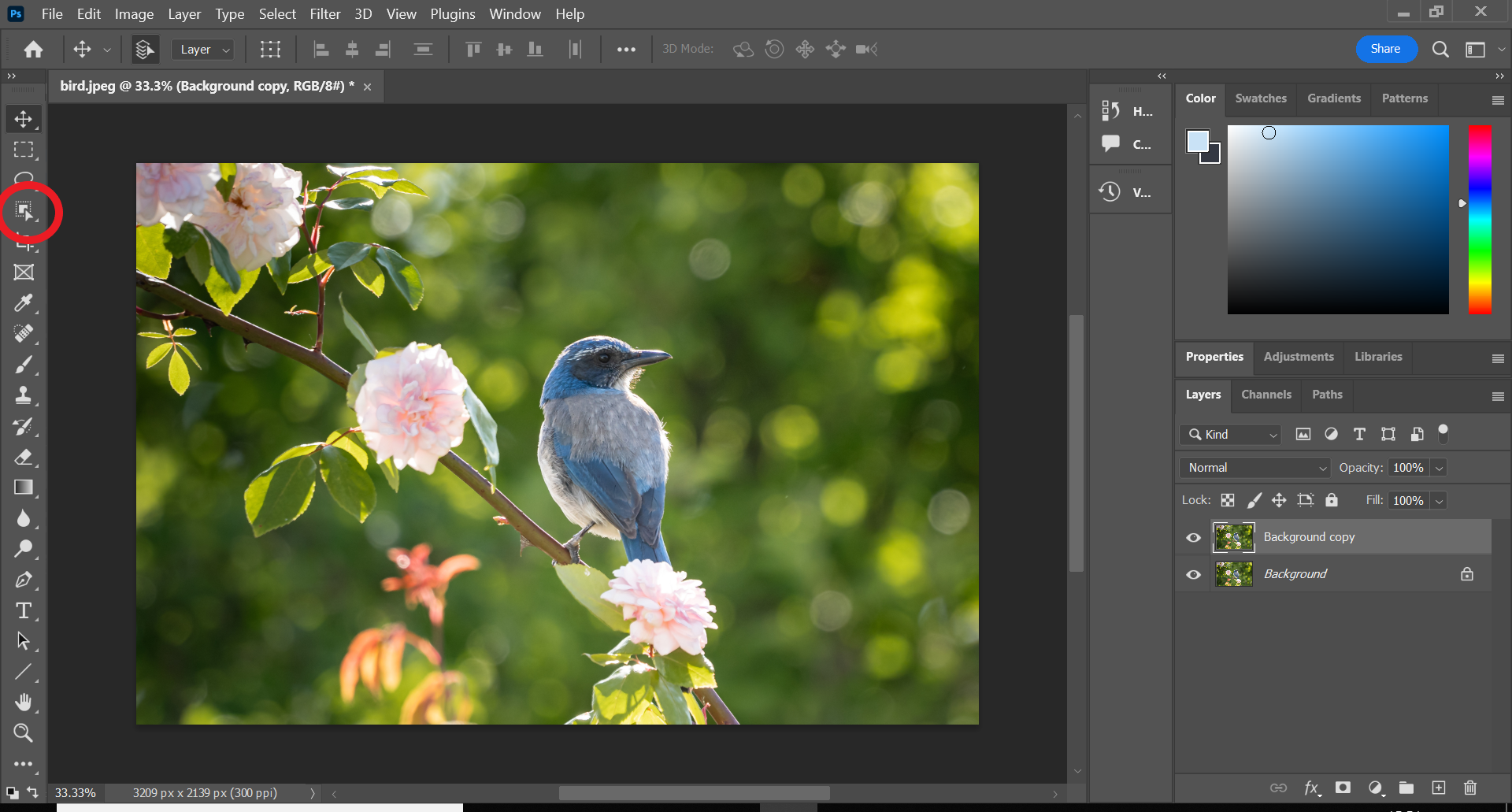 1666723209 219 Comment flouter un objet dans Photoshop