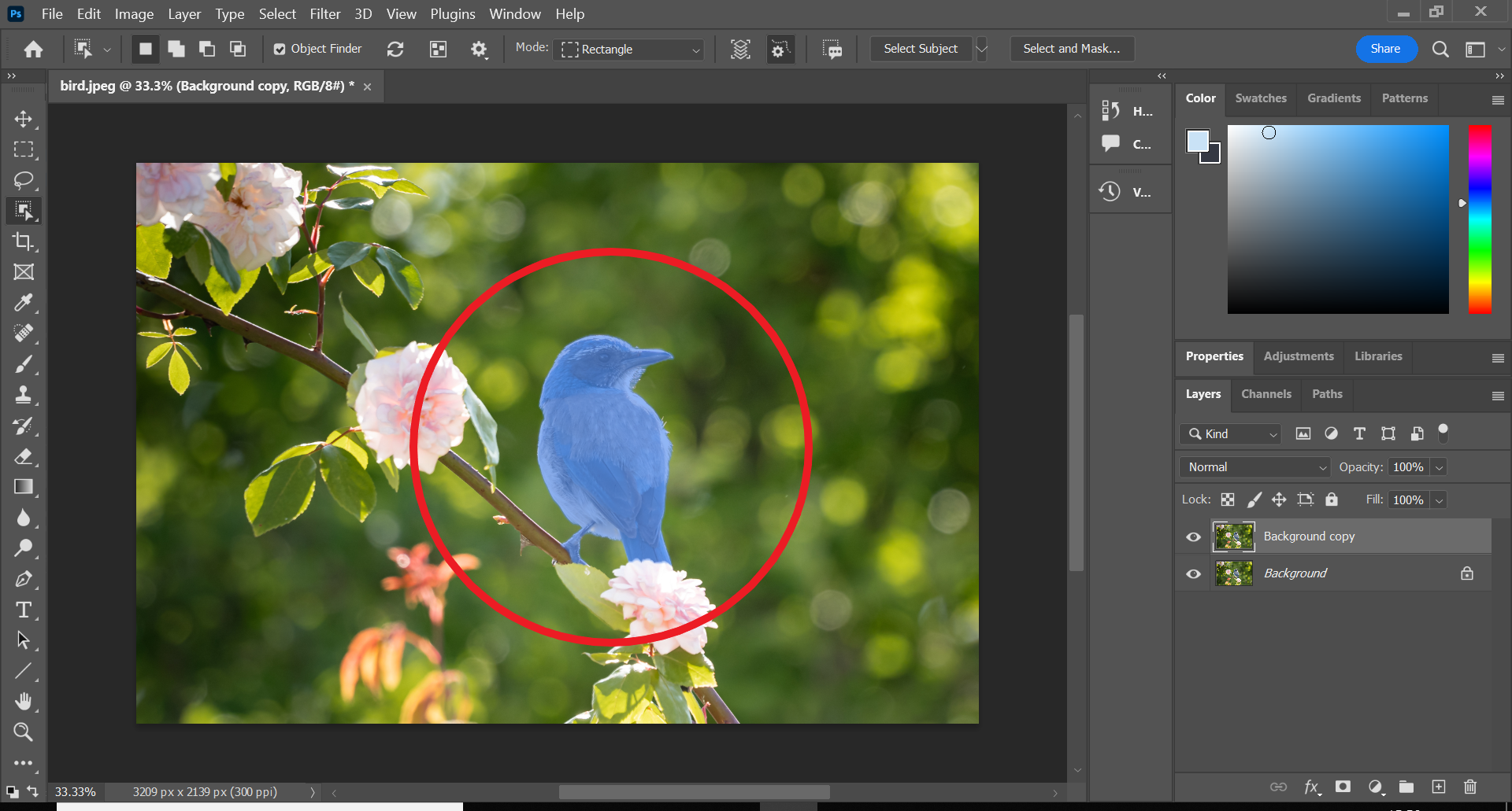 1666723209 267 Comment flouter un objet dans Photoshop