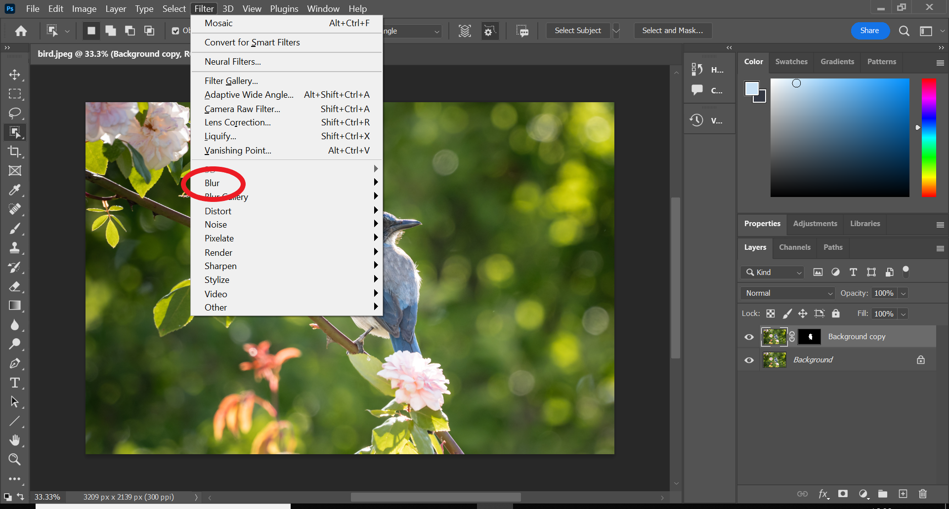 1666723210 216 Comment flouter un objet dans Photoshop